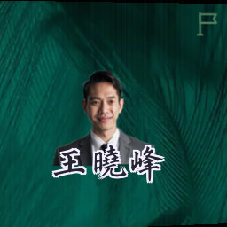 王晓峰